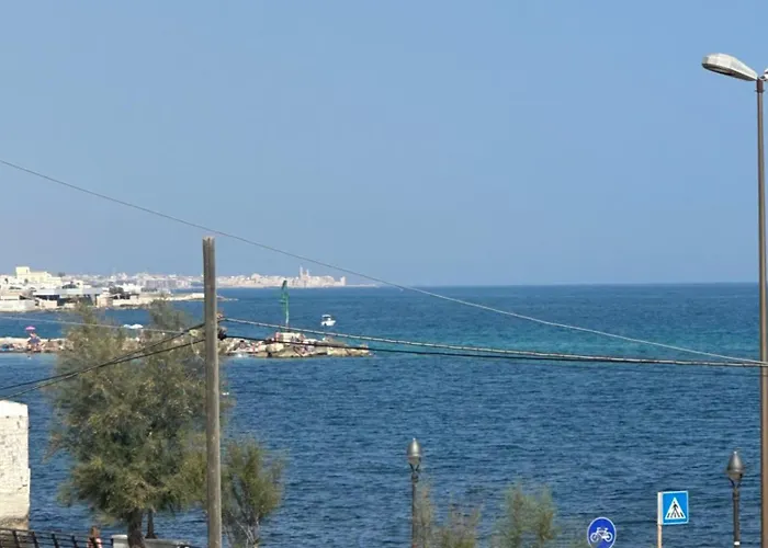 Andrea Luxury * Bari